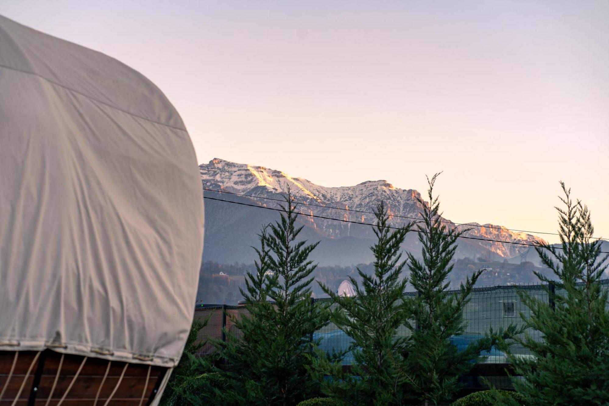 Glamp In Style Pods Resort Bran  Ngoại thất bức ảnh